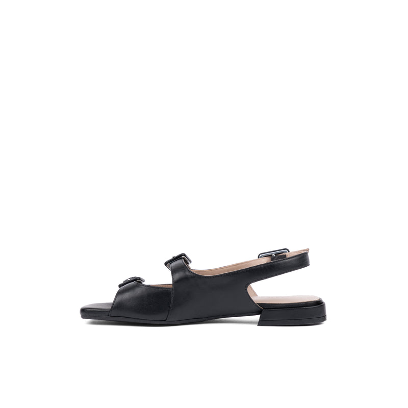 Elmira Black