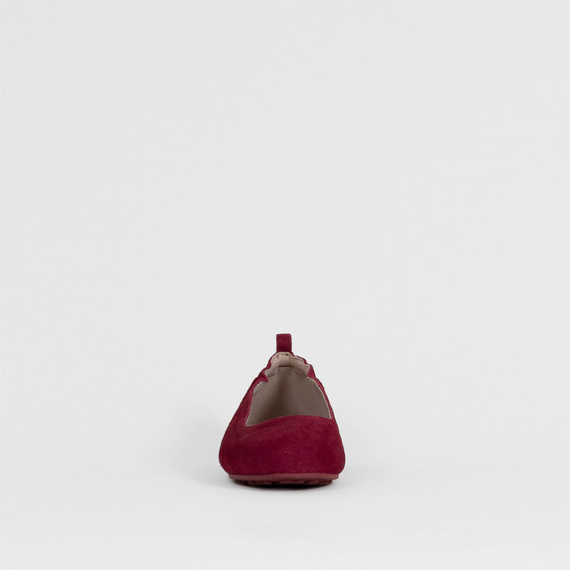 Paloma Wine OLD